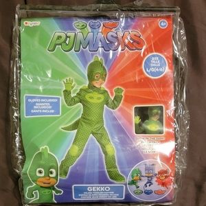 Child's PJ Mask Costume